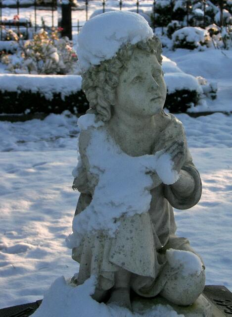 Wenn der Schnee den Schmuck übernimmt