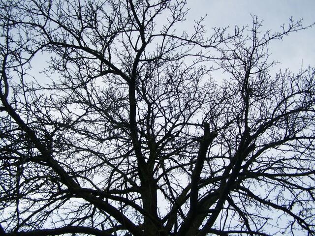 auf dieses Bild war er besonders stolz als er es fotografiert hat