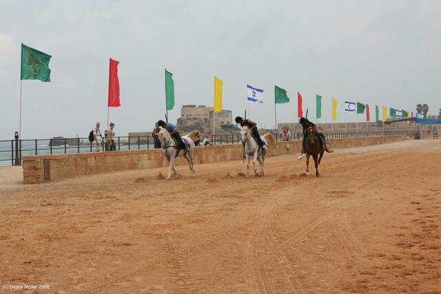 Caesarea: Im Hippodrom.