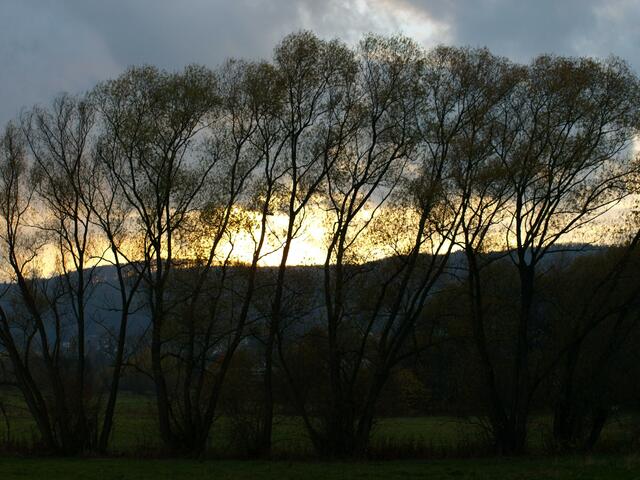 Abendstimmung, gleich ist die Sonne weg!