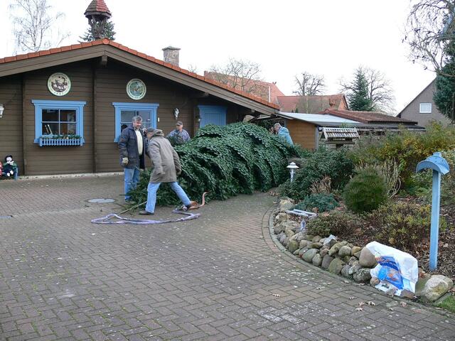 Hier stand die Tanne.