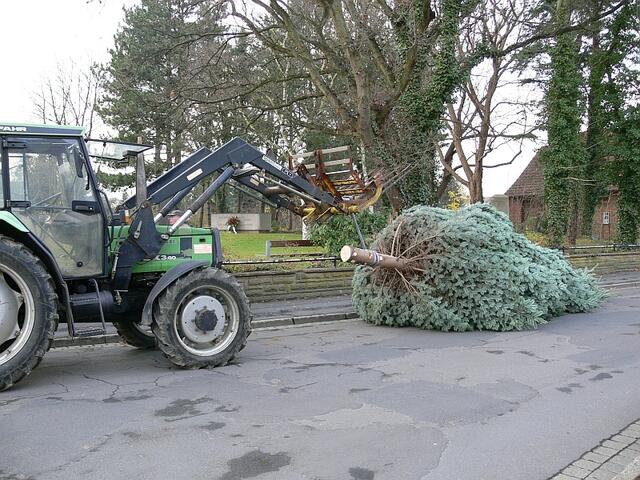 Brachialer Transport zum neuen Standort.
