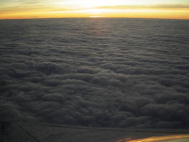 ..das sind viele Schäfchen, aber dicht gedrängt......