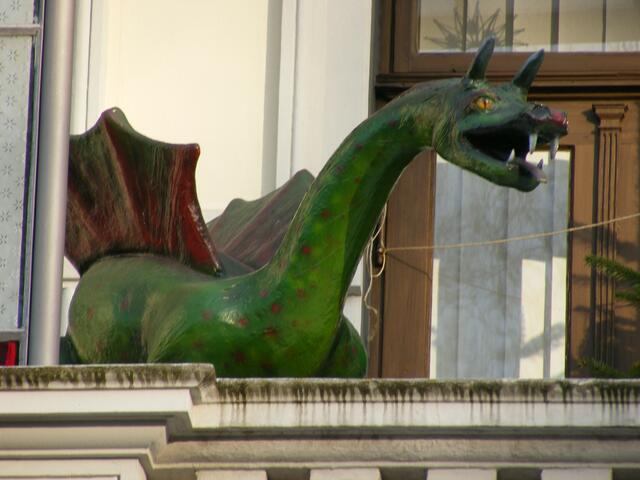 ...Flugdrache, lat.: flydragon weserberglandis...
