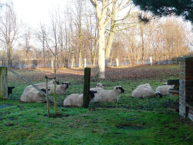 Relaxt in der Abendsonne