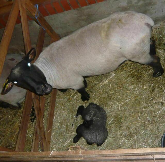Mama passt auf!