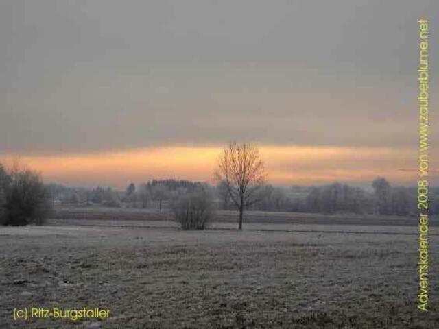 (c)  Ritz-Burgstaller Landschaft | Foto: (c) Ritz-Burgstaller Landschaft
