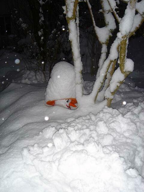 (c)  Ritz-Burgstaller Schneemann | Foto: (c)  Ritz-Burgstaller Schneemann
