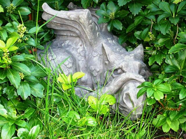 Versteckt im Garten von Jürgen