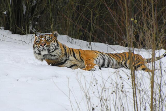 willst du mit mir spielen ??