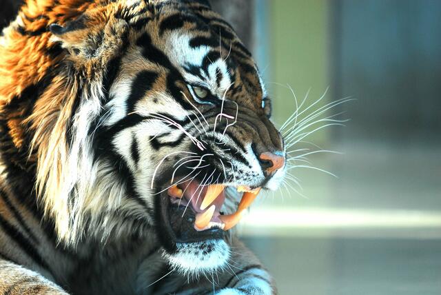 komm mir nicht zu nahe