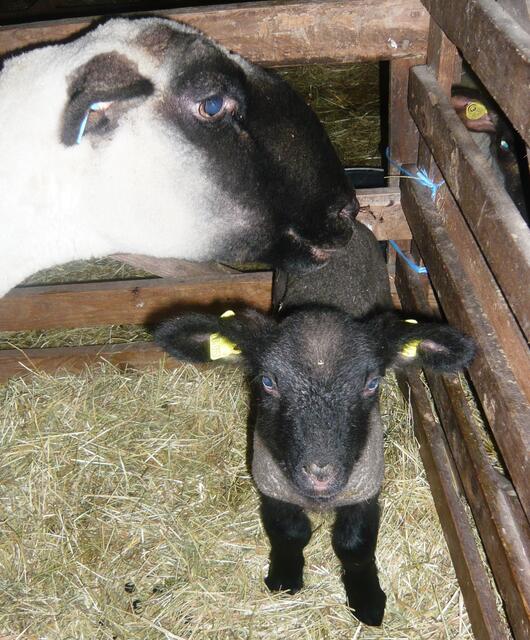 Mama passt auf ;-)