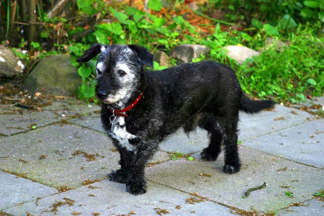Demmi mit 12 Jahren, frech und lieb zugleich