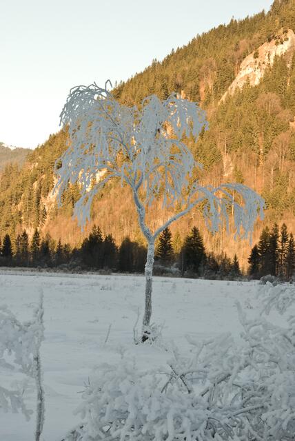 Keine Fotomontage, so sah es am 13.01.09 bei der Ettaler Mühle aus.