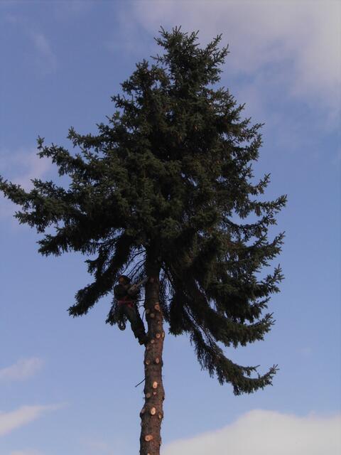 ...gleich wird die Spitze fallen...