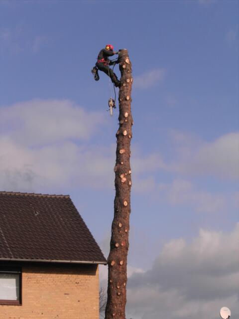 ...was passiert jetzt?...