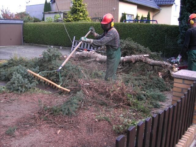 ...zusammen harken...