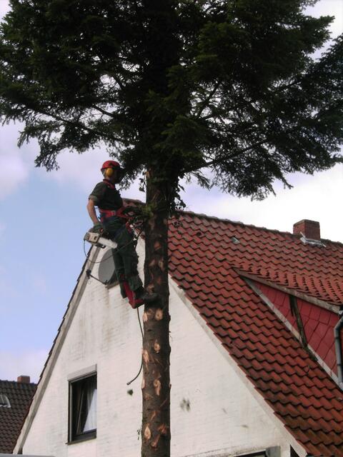 ...immer höher hinauf...