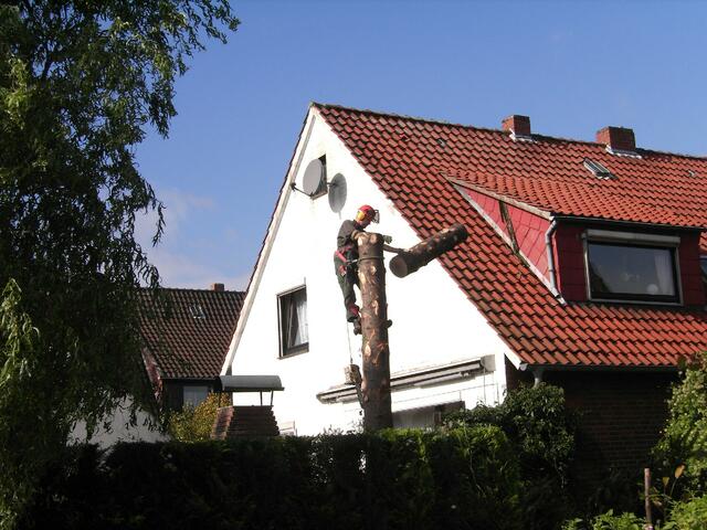 ...ein kleiner Schubs in die richtige Richtung...