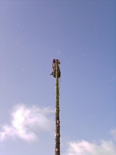...die Spitze ist weg...