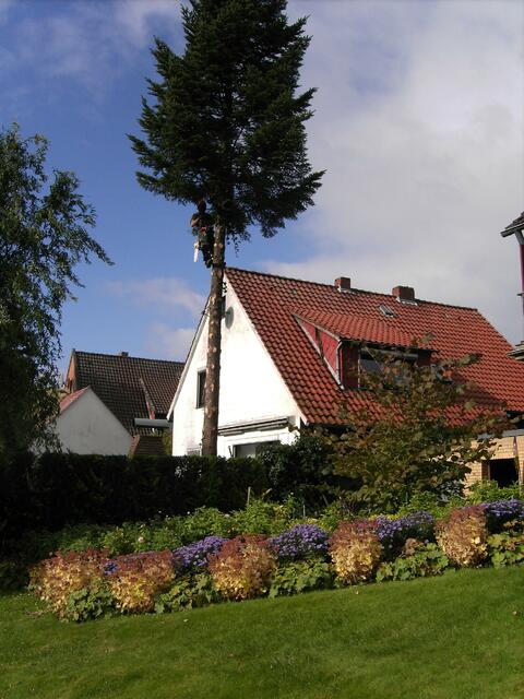 ...auf Höhe des Hausgiebels. Unser GartenTerrasse im Vordergrund...