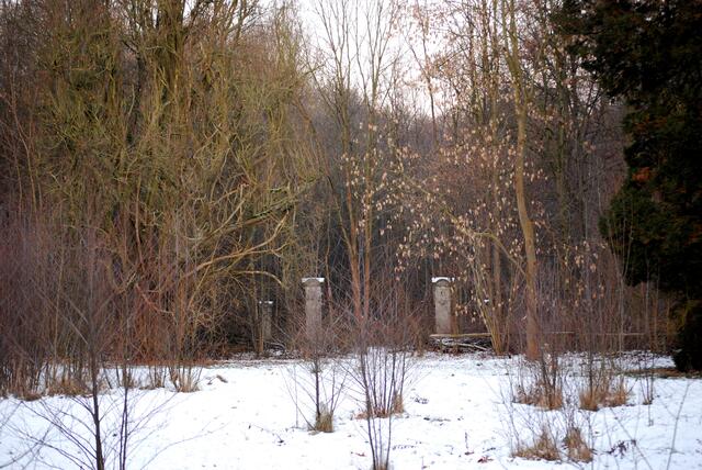 Blick zum Tor