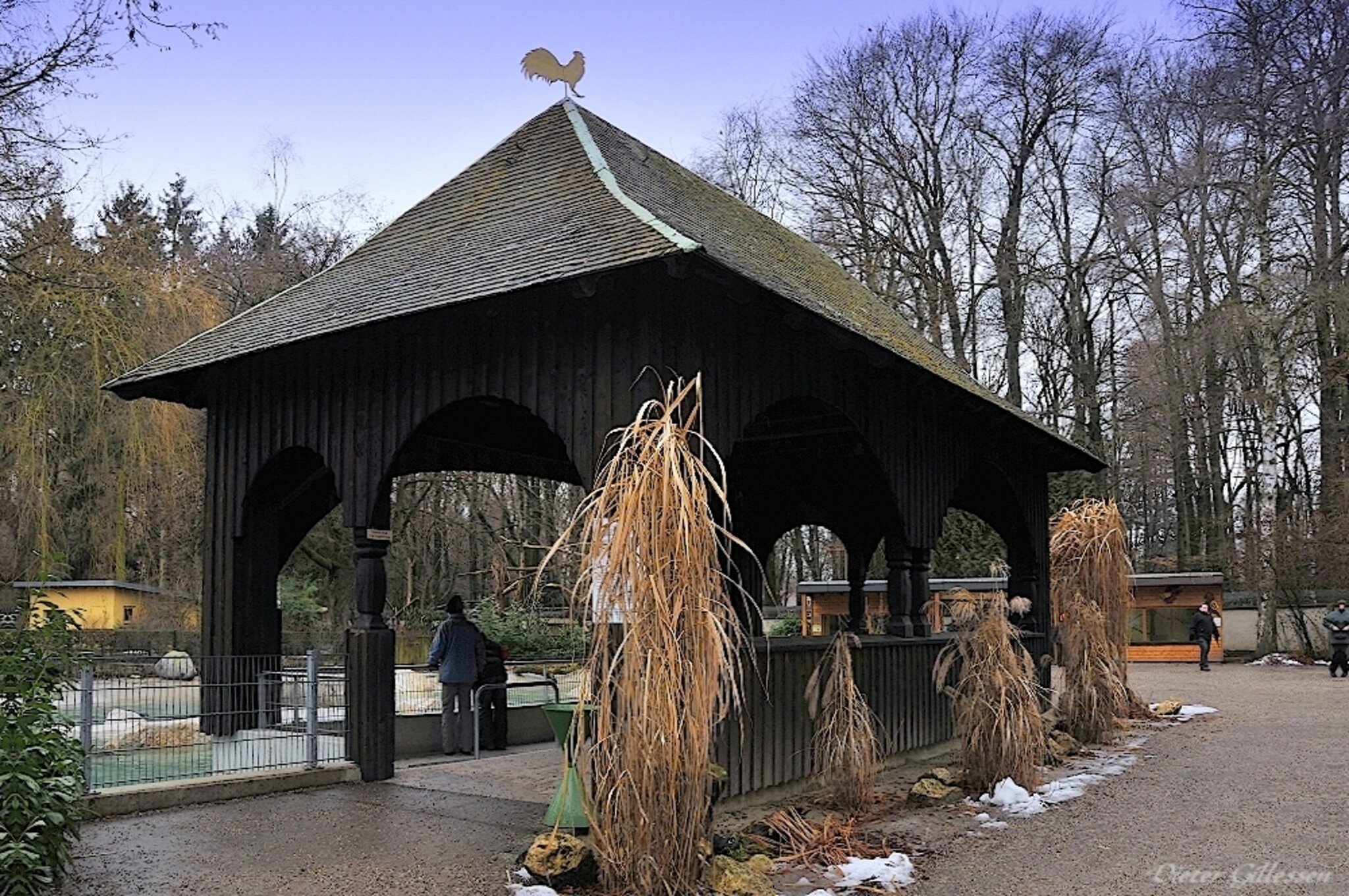 Mit der Kamera unterwegs...