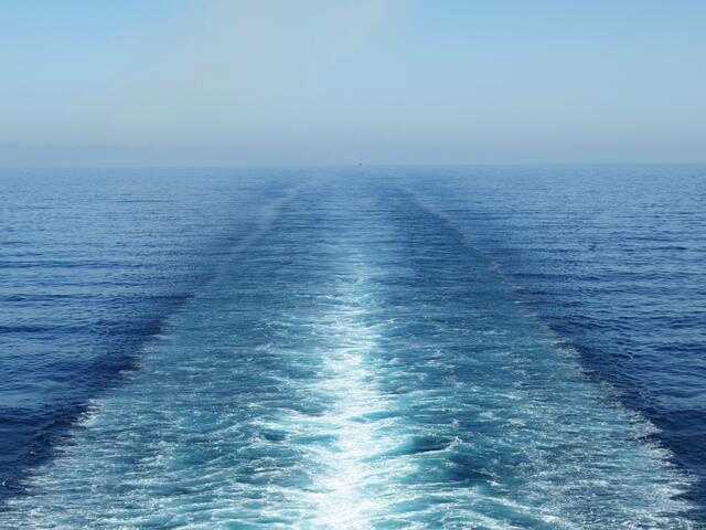 ...vielleicht zu erkennen, da ist direkt einer auf unseren Spuren