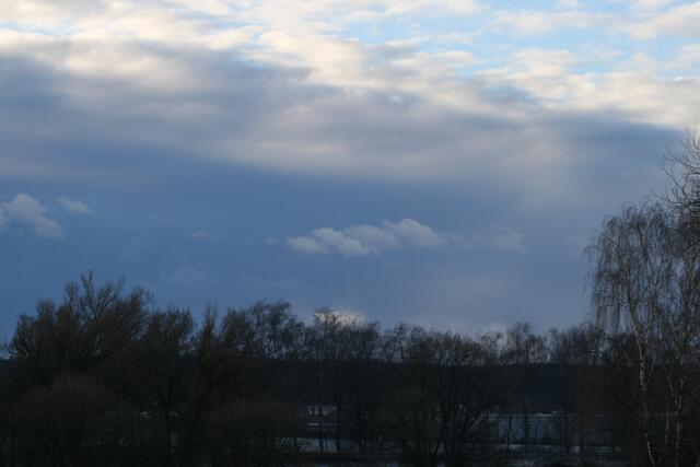 10. Februar 2009 8.40 Uhr