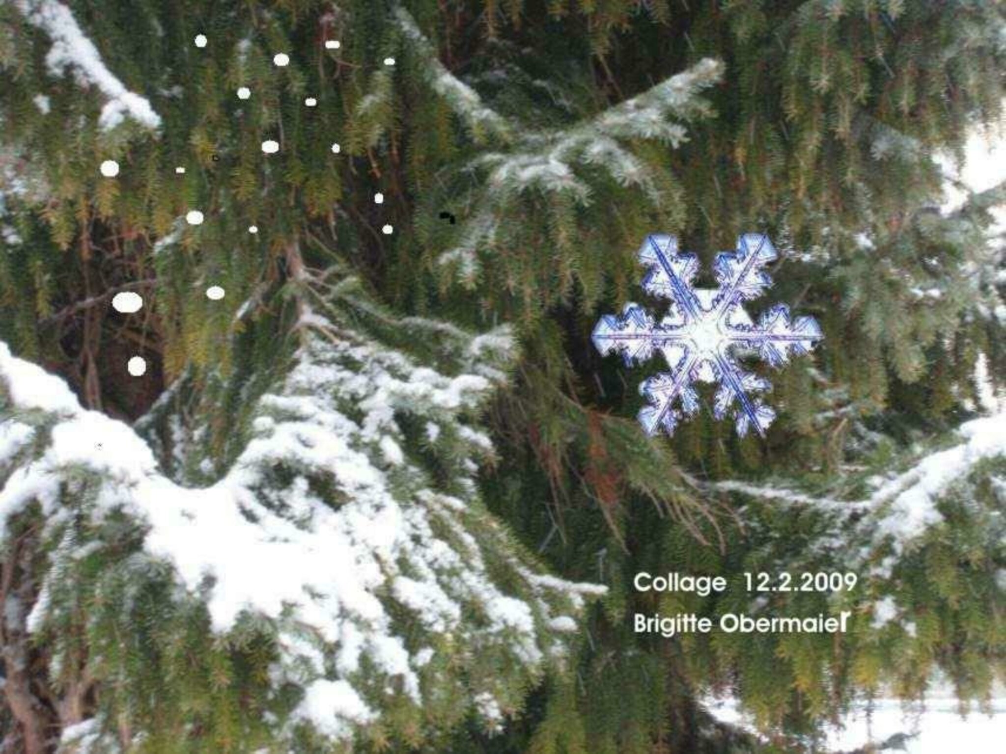 lyrics leise rieselt der schnee