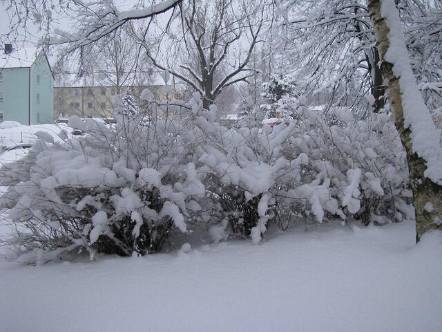 Wie Zuckerwatte...