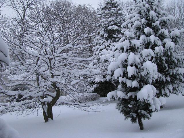 Brrrr... (es waren ca. minus 10 Grad).