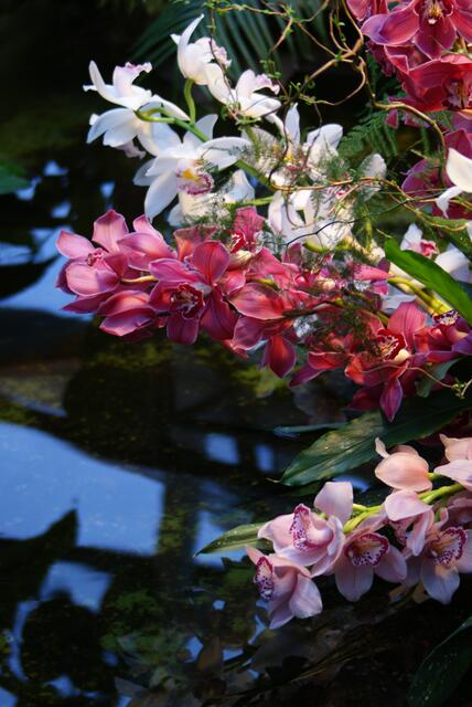 So viele Blumen