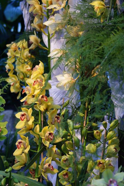 Blumen mit Schleierkraut, wie im Laden