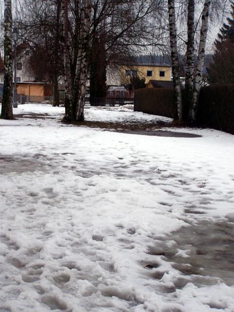 Mit Sonnenschein wäre es fast Frühlingshaft