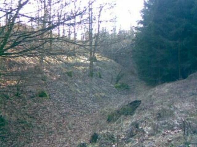 Nordost->Südwest-Ansicht. Bergkegel rechts mit Wallgrabenanlage.