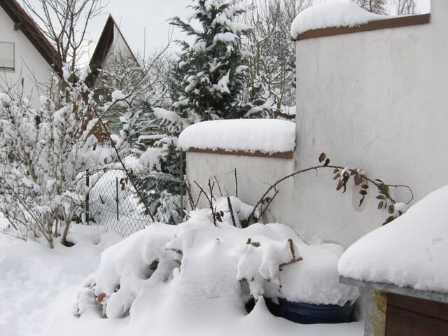 5. März 2006