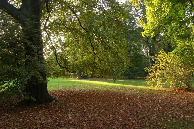 "Urlaub" im Schlosspark