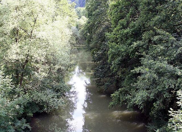 Tauber | Foto: http://commons.wikimedia.org/wiki/File:Tauber_Wertheim-Bronnbach_20070714.jpg