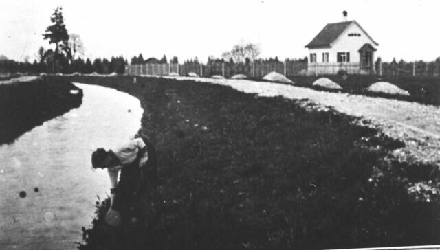 HAus der Familie Pfaffinger 1916, Ausbau der Roggensteiner Allee