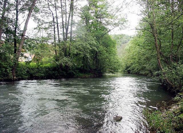 Tauber | Foto: Bernd Haynold - http://commons.wikimedia.org/wiki/File:Tauber_bei_Waldenhausen_220505.jpg