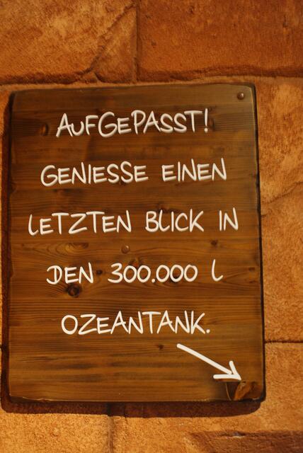 Weiter geht's in den Regenwald