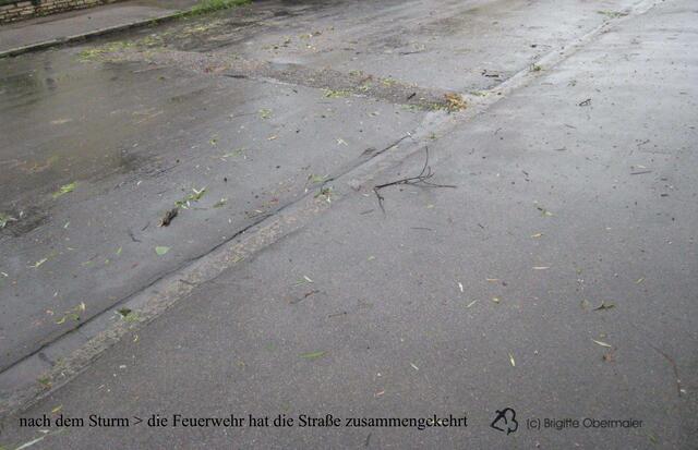 nach dem Sturm > die Feuerwehr hat die Straße zusammengekehrt