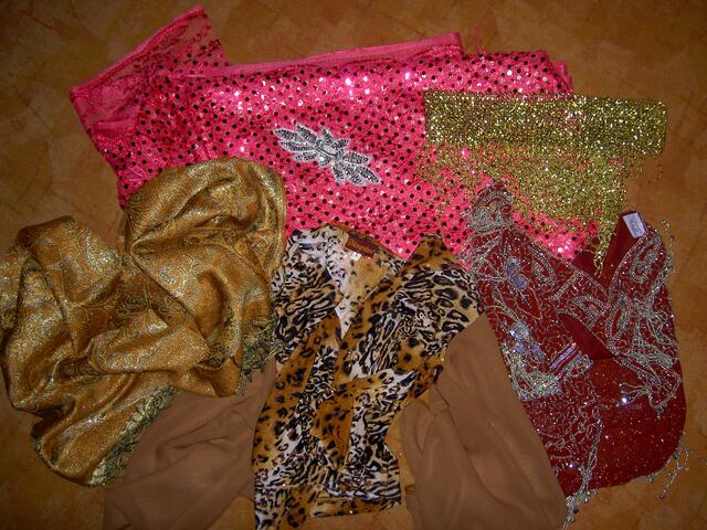 Das habe ich gekauft: Ein Stück Stoff, einen indischen Schal, ein Oberteil im Tigerlock, ein Hüfttuch, ein elastischen Hüftgürtel und ein Aufnäher. Alles zusammen cirka 80 &#8364;