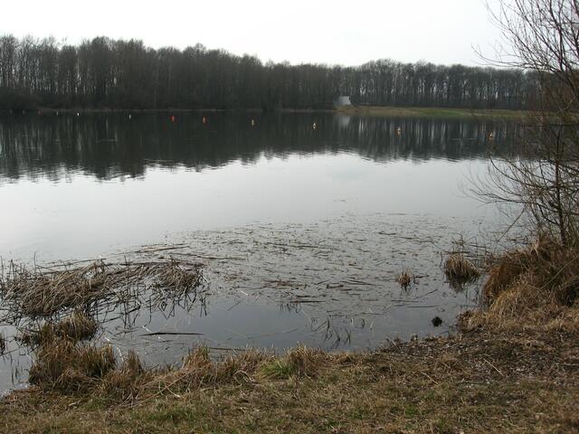 Spiegelei