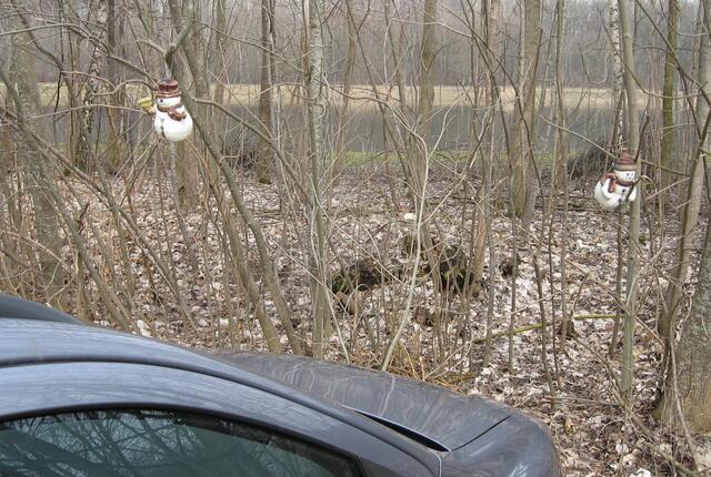 Neuer Lauinger Frühlingsbrauch? Schneemann-Aufhängen