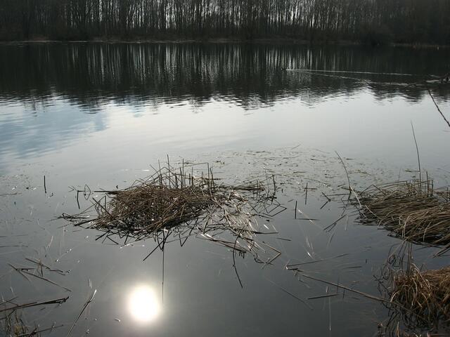 Die wärmende Sonne hat alles Eis geschmolzen
