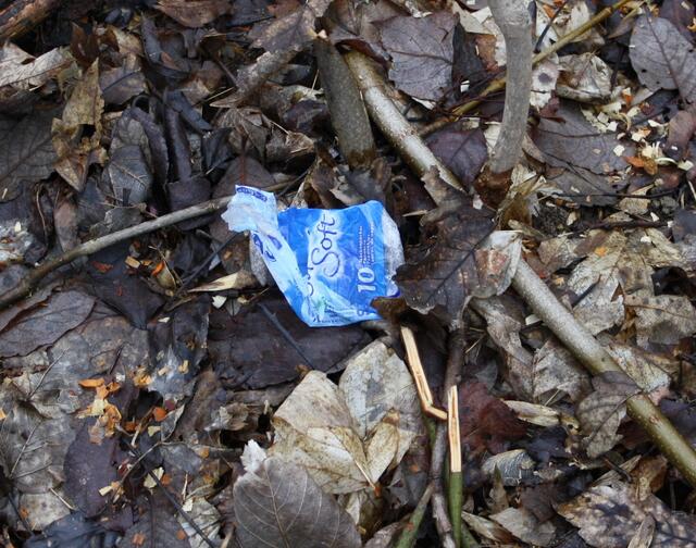 Bunte Tupfer: Schade, dies arme Ding konnte leider nicht mit nach Hause mitgenommen werden. Nun muß es -zig Jahre blau herumliegen...