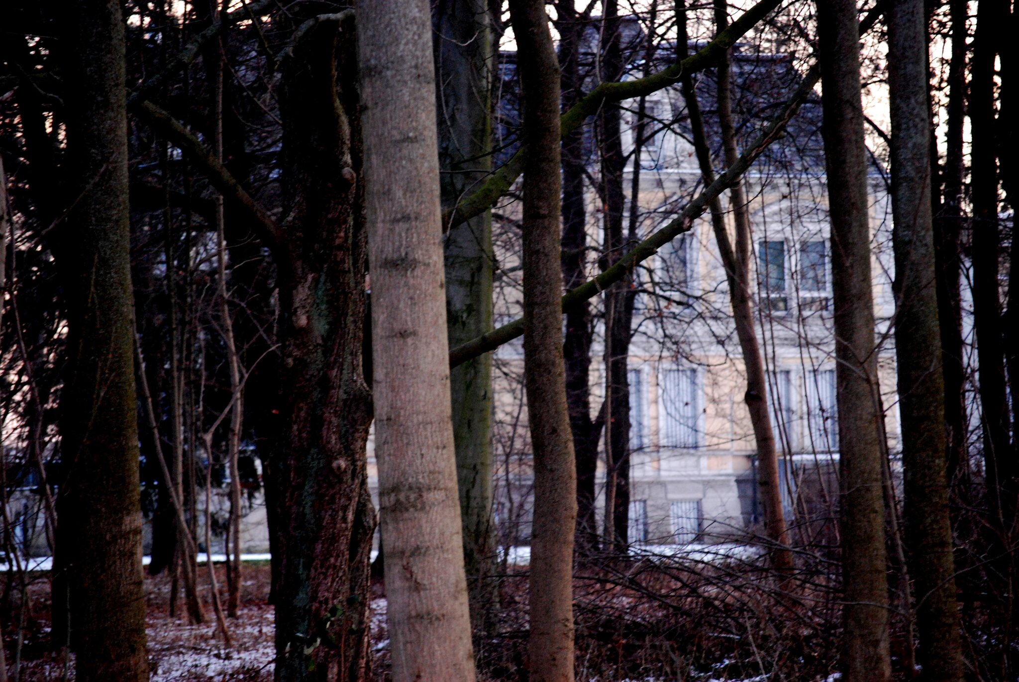 Wer glaubt denn schon an Geister? (Villa Nordstern Teil 2) Lehrte