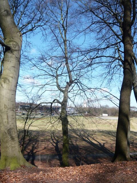 Durchblick